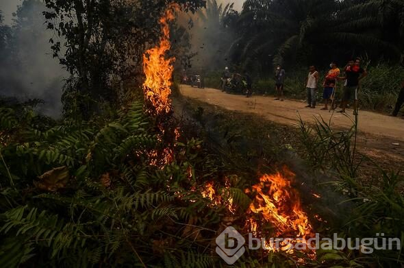 Riau eyaletinde orman yangını felaketi