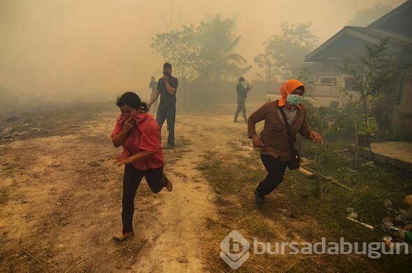 Riau eyaletinde orman yangını felaketi