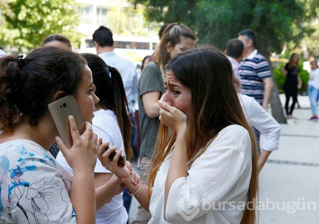 Hayvanlar depremi önceden hissedebilir mi? İşte bilimin yanıtı