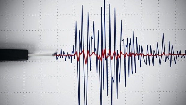 Hayvanlar depremi önceden hissedebilir mi? İşte bilimin yanıtı