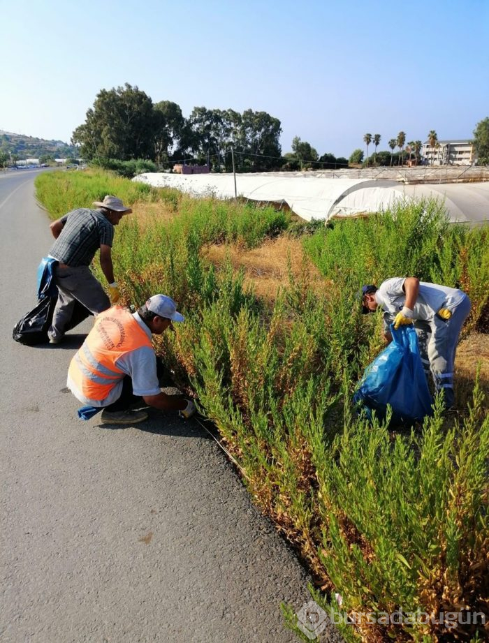 Alanya Aytap Antik Kent'inden 3 kamyon çöp çıktı