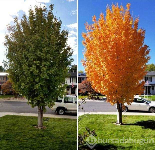 Günün en çok paylaşılan fotoğrafları