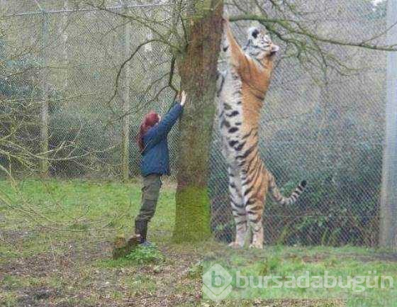 Günün en çok paylaşılan fotoğrafları