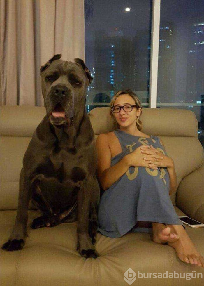 Günün en çok paylaşılan fotoğrafları