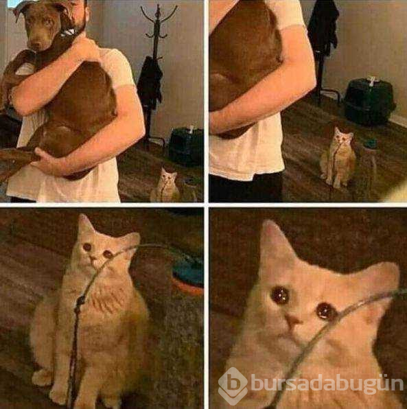 Günün en çok paylaşılan fotoğrafları