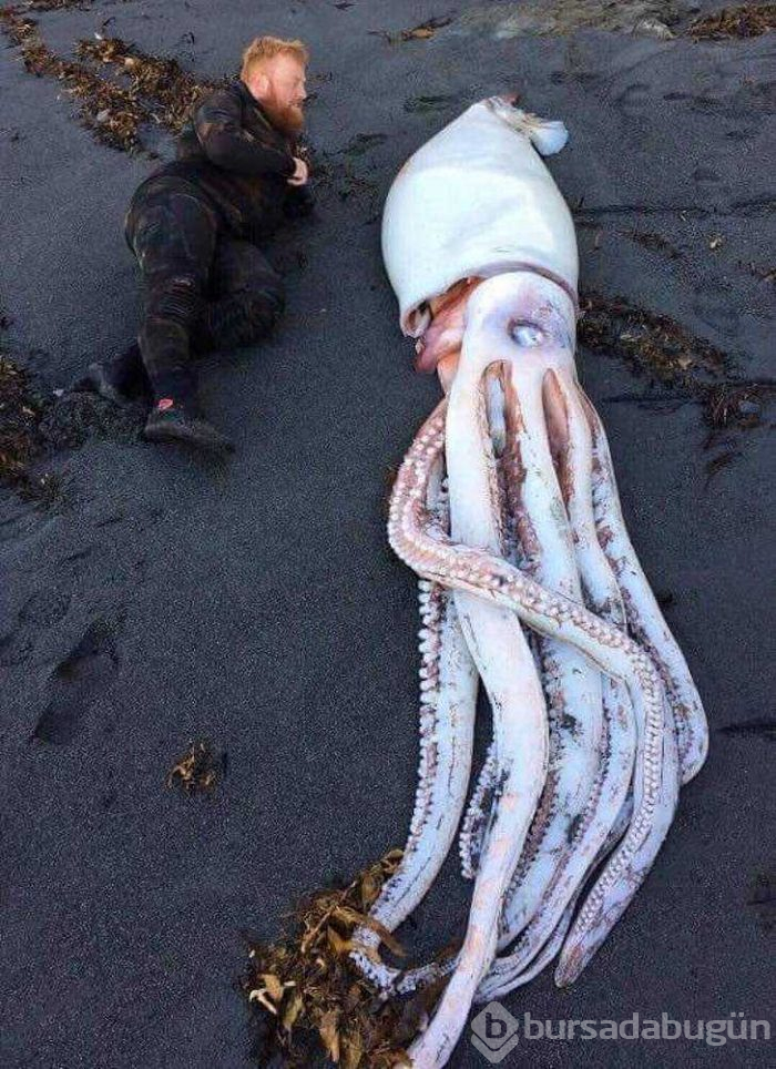Günün en çok paylaşılan fotoğrafları