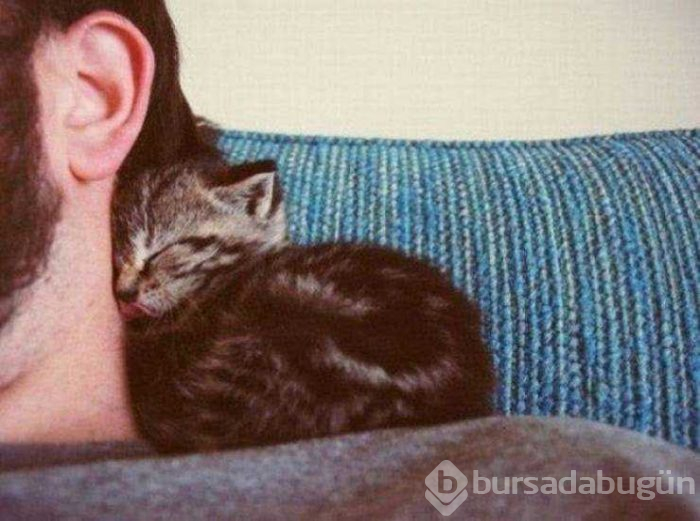 Günün en çok paylaşılan fotoğrafları