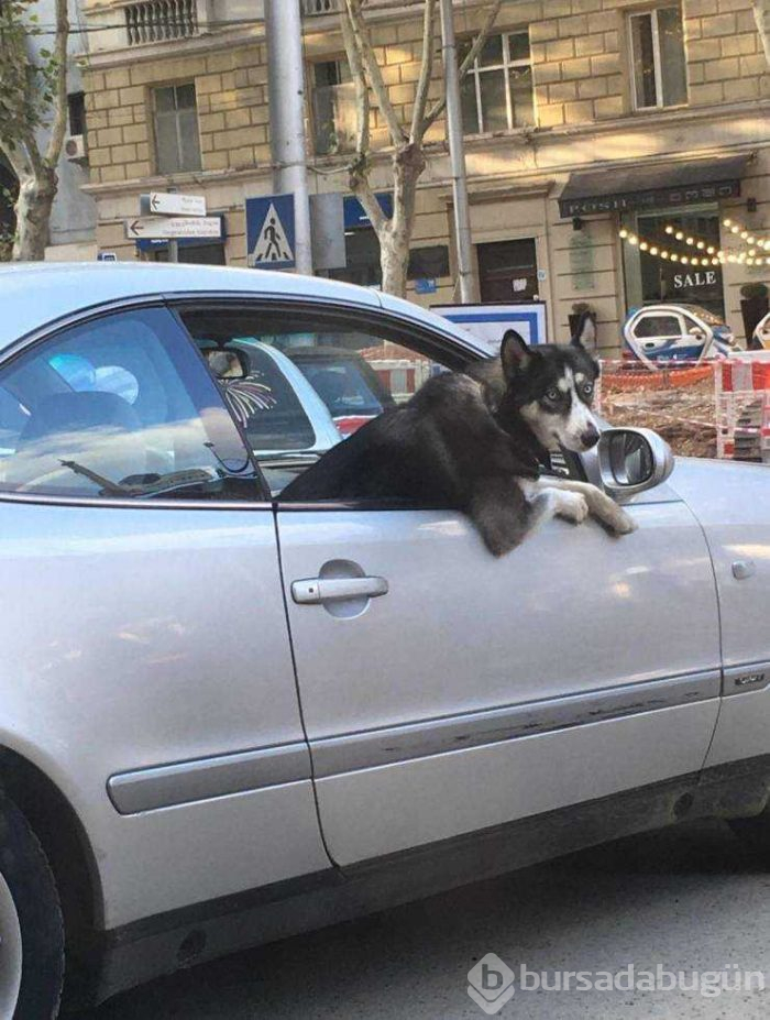 Günün en çok paylaşılan fotoğrafları