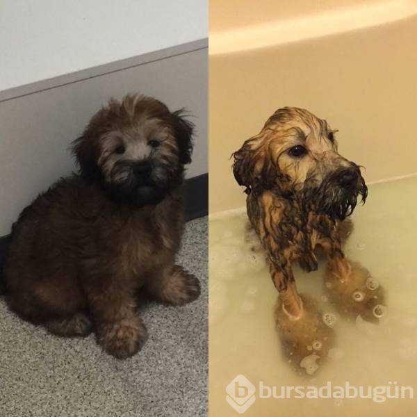 Günün en çok paylaşılan fotoğrafları