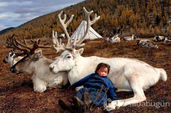 Günün en çok paylaşılan fotoğrafları