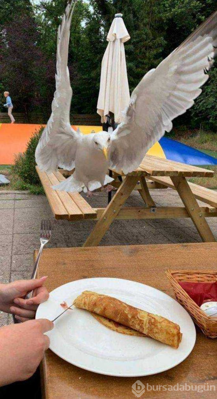 Günün en çok paylaşılan fotoğrafları