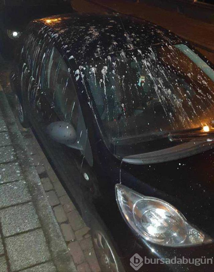 Günün en çok paylaşılan fotoğrafları