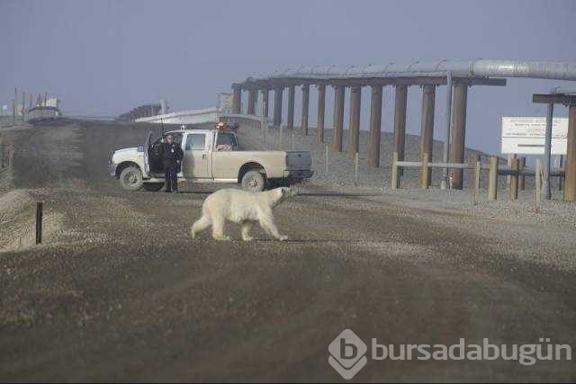 Günün en çok paylaşılan fotoğrafları