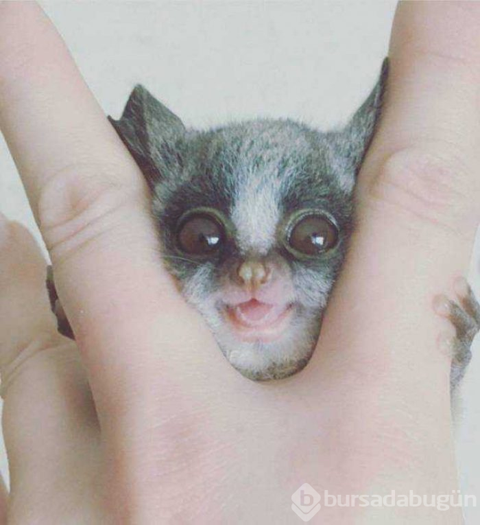 Günün en çok paylaşılan fotoğrafları
