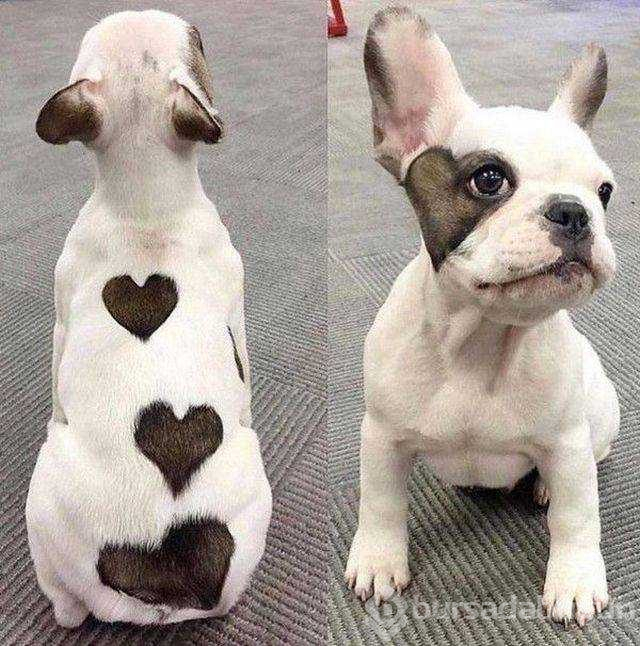 Günün en çok paylaşılan fotoğrafları