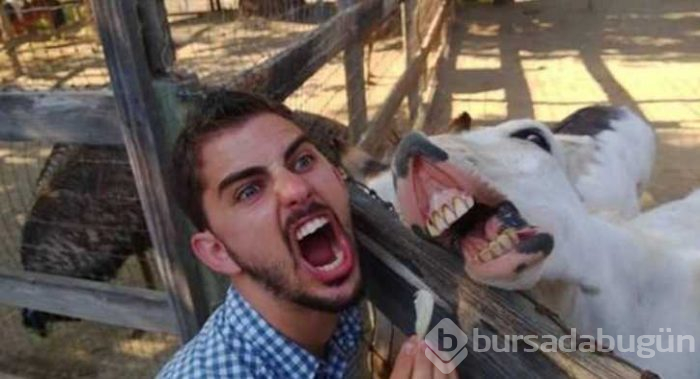 Günün en çok paylaşılan fotoğrafları