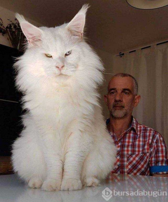 Günün en çok paylaşılan fotoğrafları