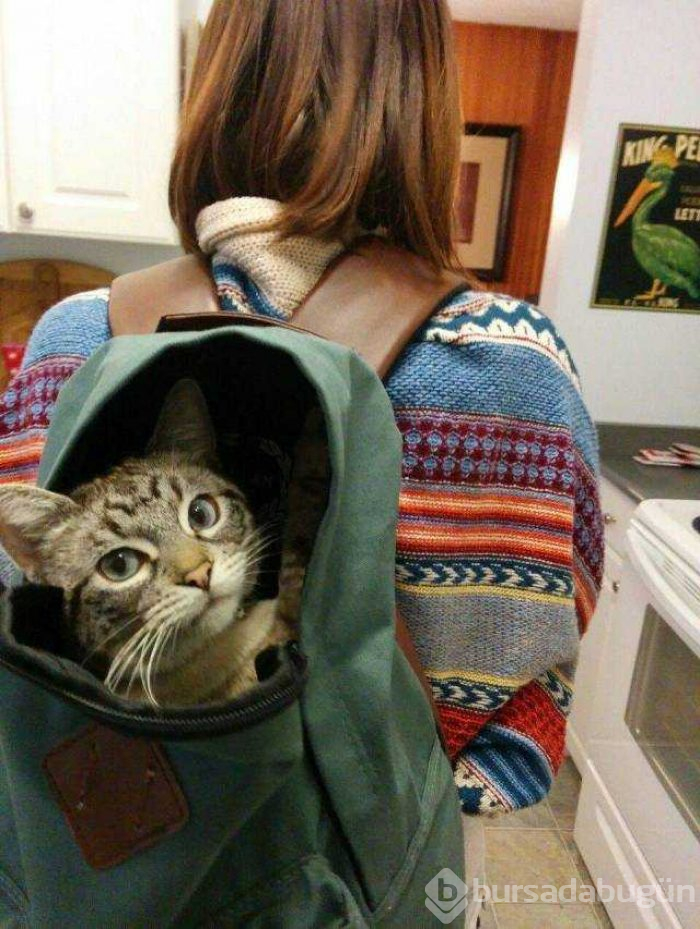 Günün en çok paylaşılan fotoğrafları