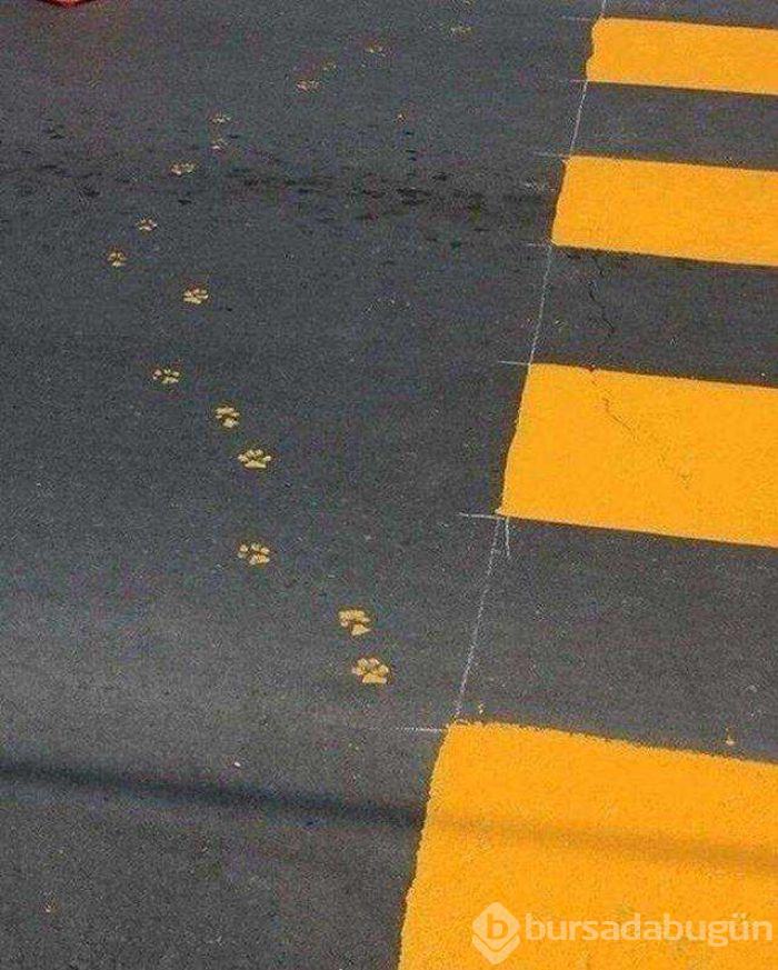 Günün en çok paylaşılan fotoğrafları