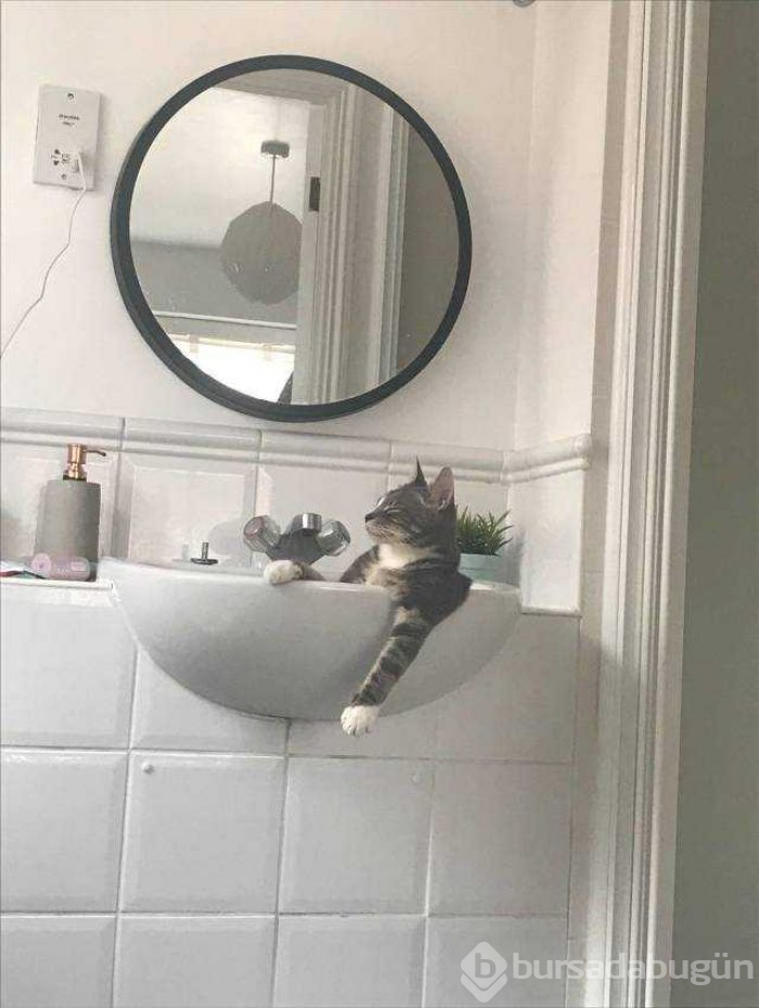 Günün en çok paylaşılan fotoğrafları