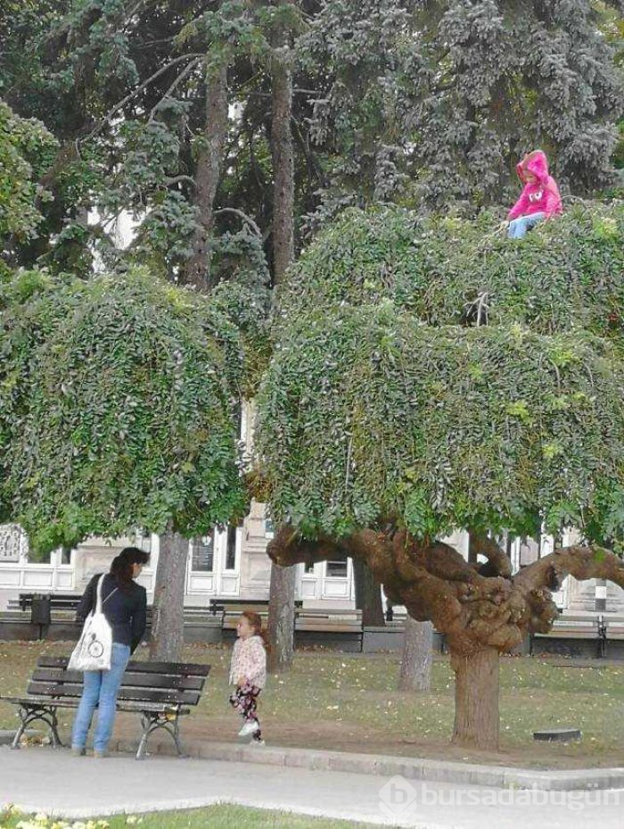 Günün en çok paylaşılan fotoğrafları