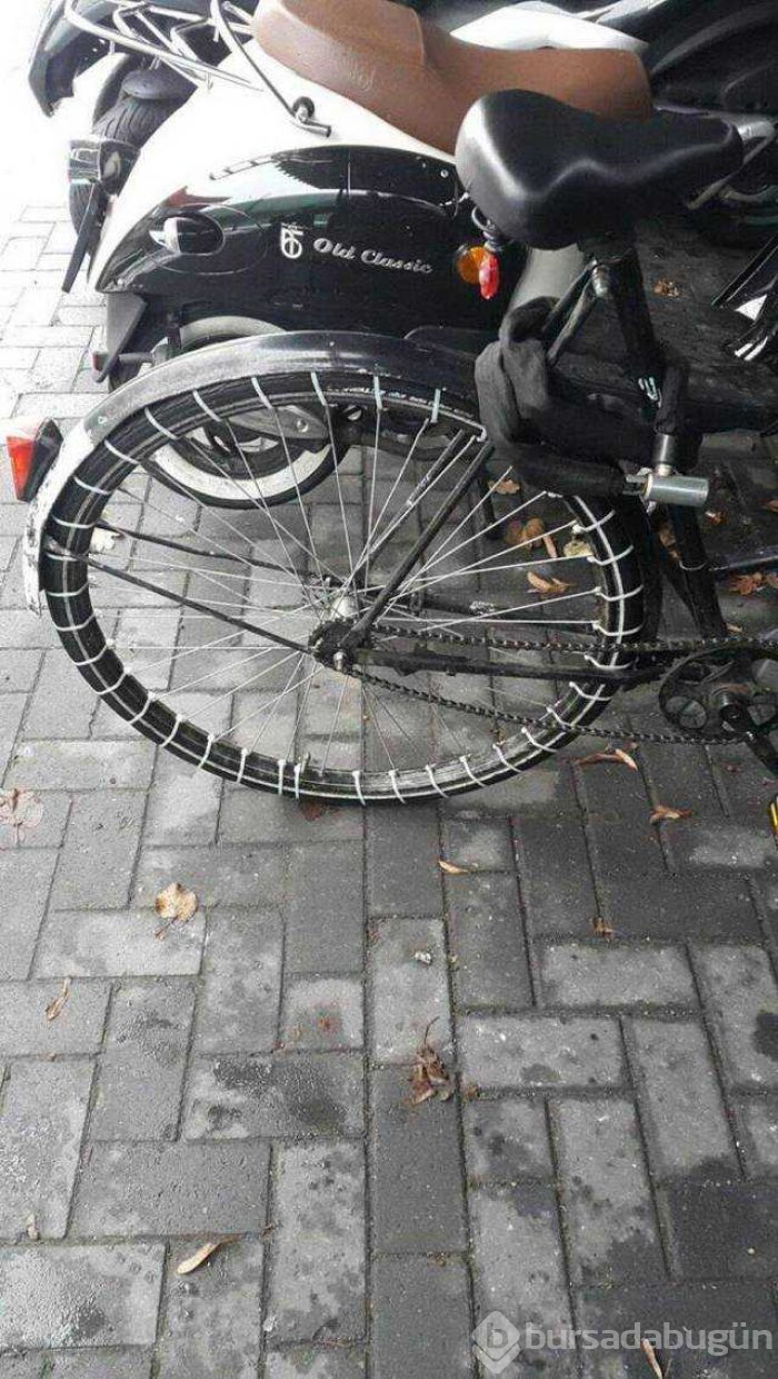 Günün en çok paylaşılan fotoğrafları