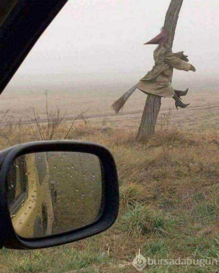 Günün en çok paylaşılan fotoğrafları