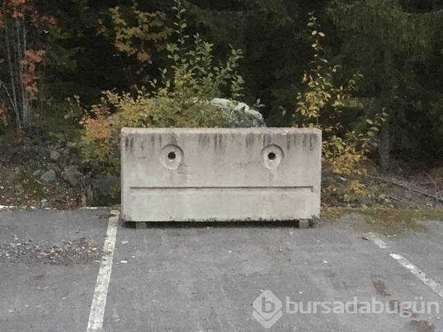 Günün en çok paylaşılan fotoğrafları