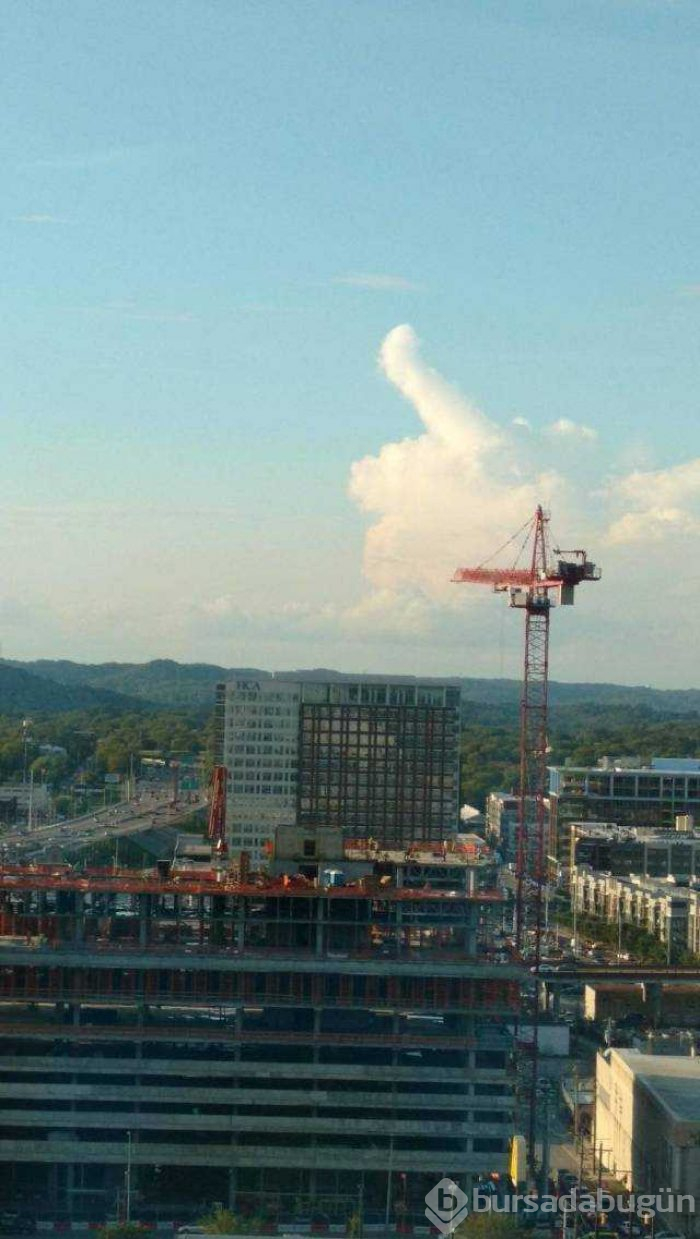 Günün en çok paylaşılan fotoğrafları