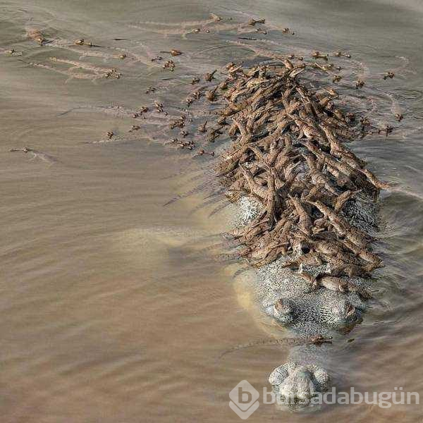 Günün en çok paylaşılan fotoğrafları