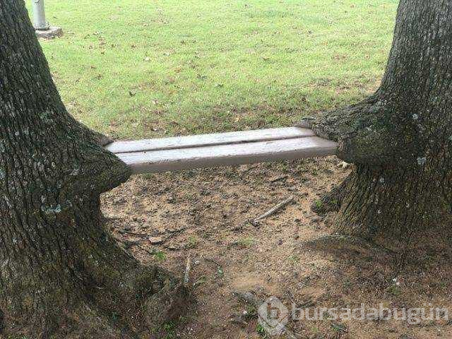 Günün en çok paylaşılan fotoğrafları