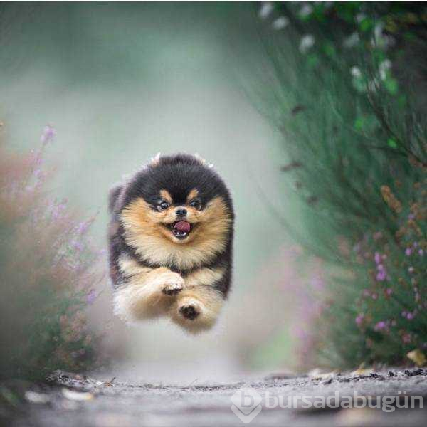 Günün en çok paylaşılan fotoğrafları