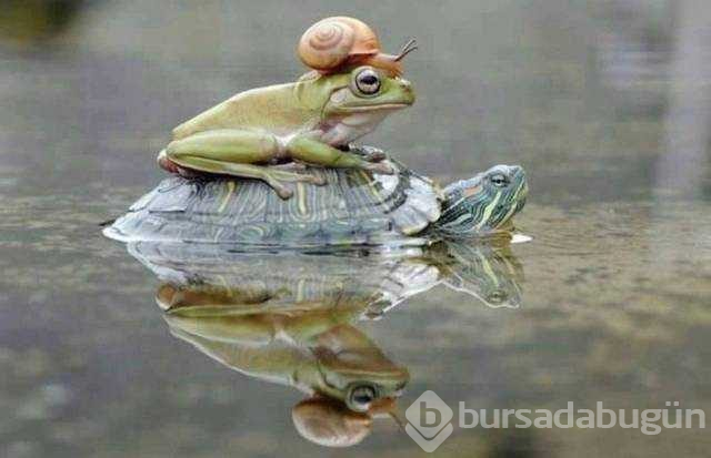 Günün en çok paylaşılan fotoğrafları