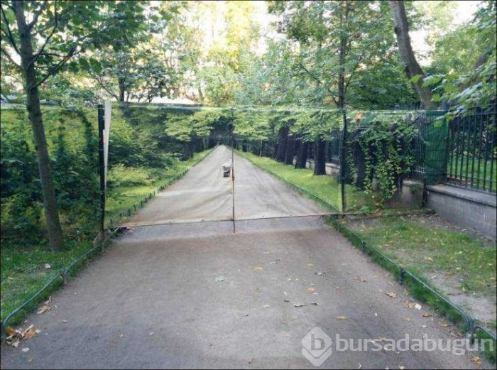 Günün en çok paylaşılan fotoğrafları