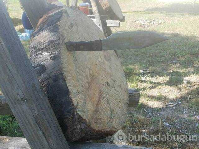 Günün en çok paylaşılan fotoğrafları