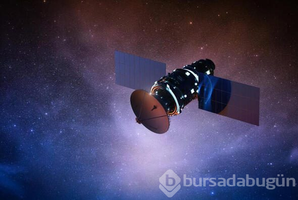 Hızla kayboluyorlar! İşte Dünya'yı bekleyen o büyük tehlike