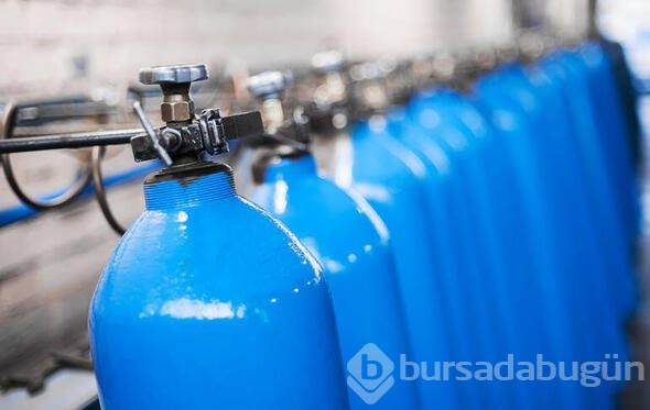Hızla kayboluyorlar! İşte Dünya'yı bekleyen o büyük tehlike