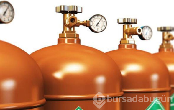 Hızla kayboluyorlar! İşte Dünya'yı bekleyen o büyük tehlike