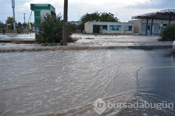 Didim'de sağanak yağış etkili oldu