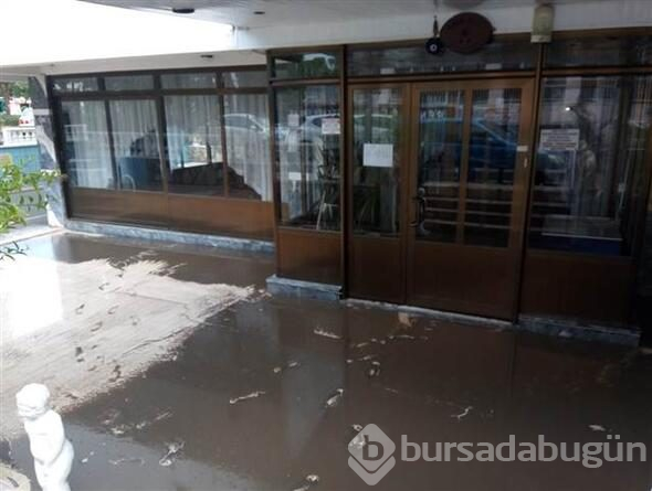 Didim'de sağanak yağış etkili oldu