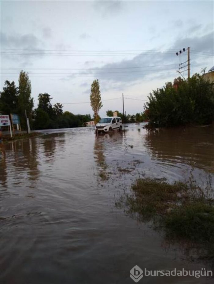 Didim'de sağanak yağış etkili oldu