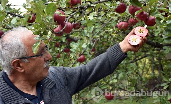 İçi de dışı da kırmızı!