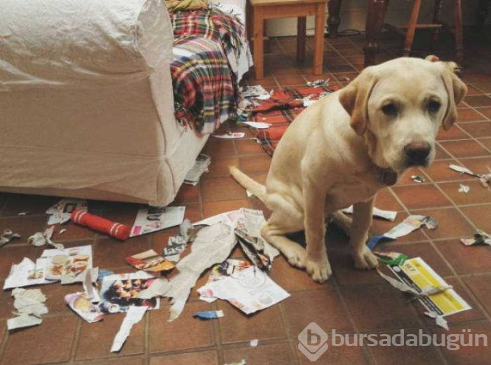  Suçluluk duydukları anlar...