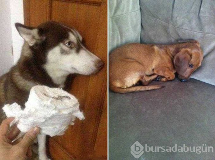  Suçluluk duydukları anlar...