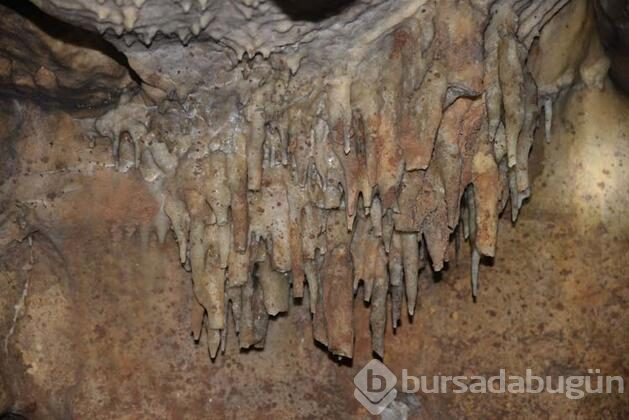 Tesadüfen bulunan mağaraya çirkin saldırı!