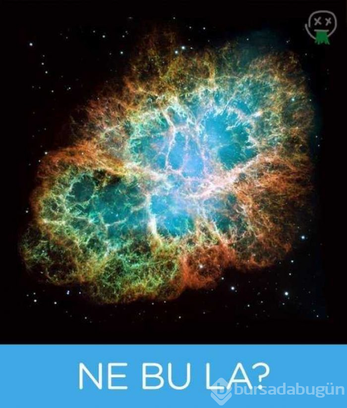 En sinir bozucu espriler