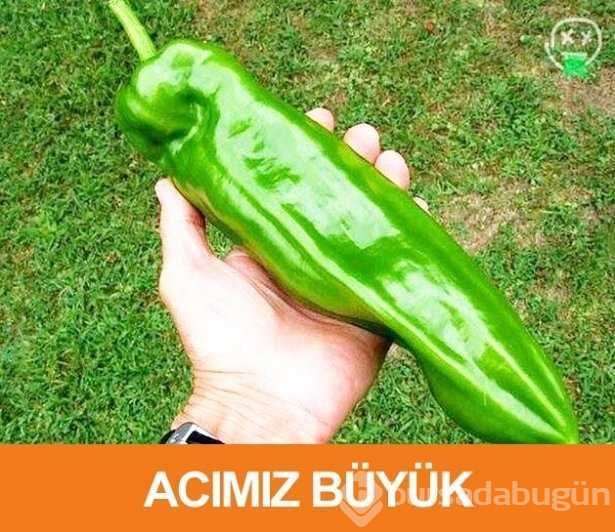 En sinir bozucu espriler