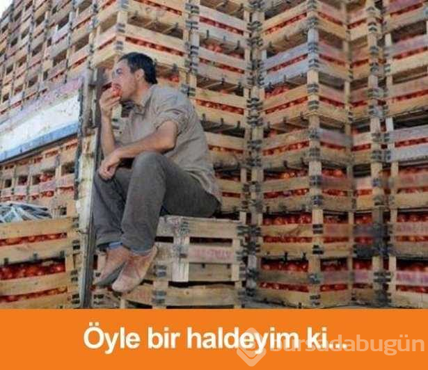 En sinir bozucu espriler