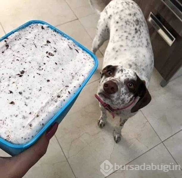 Günün en çok paylaşılan fotoğrafları