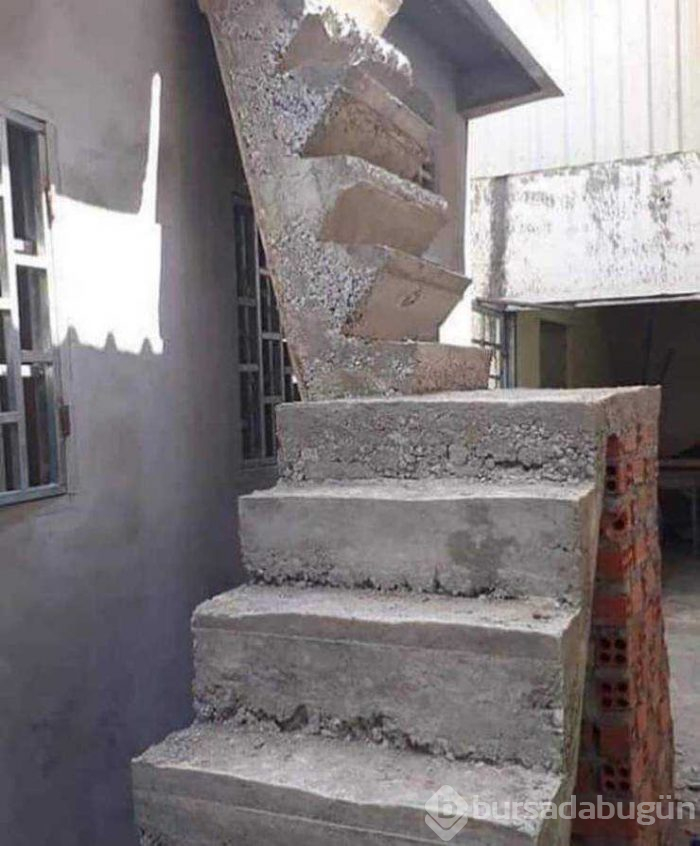 Günün en çok paylaşılan fotoğrafları